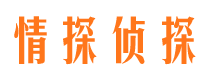 光山侦探公司